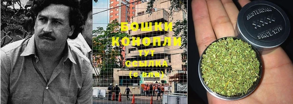 ГАЛЛЮЦИНОГЕННЫЕ ГРИБЫ Елабуга