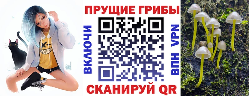 маркетплейс формула  Знаменск  Псилоцибиновые грибы GOLDEN TEACHER 
