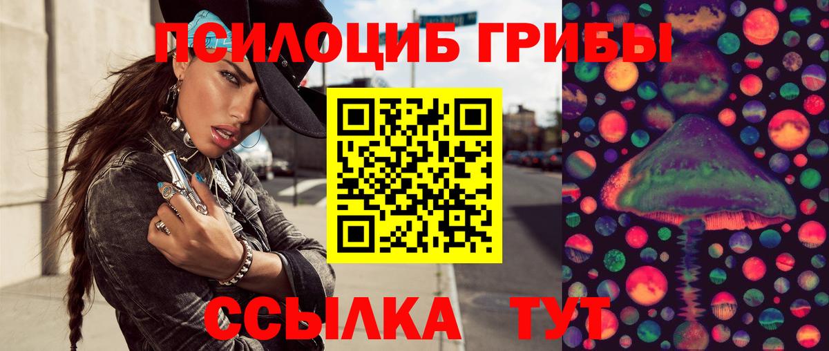 Галлюциногенные грибы прущие грибы Знаменск