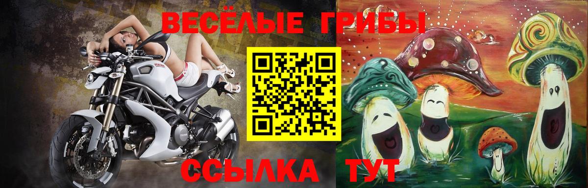 Знаменск  Псилоцибиновые грибы Magic Shrooms  Вход с VPN  Псилоцибиновые грибы мухоморы 