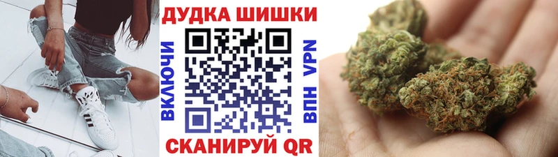Конопля план  купить   Знаменск 